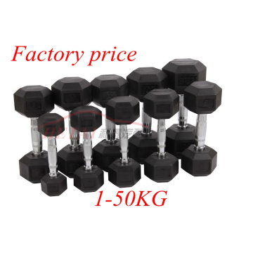 Equipo de Entrenamiento de Fitness Goma de Cobre Dumbbell Set Precio